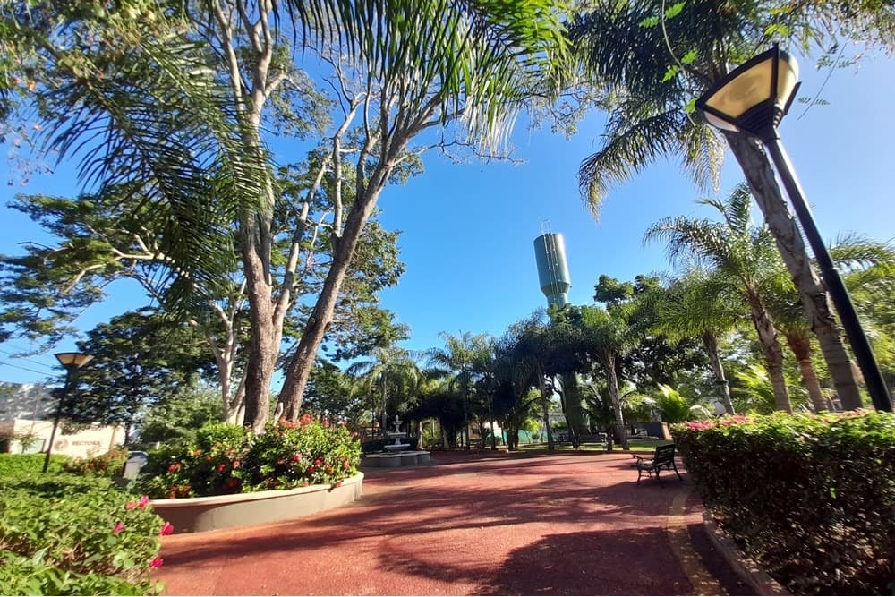 Terreno premium en ARAPOTY – Mariano Roque Alonzo, foto 4