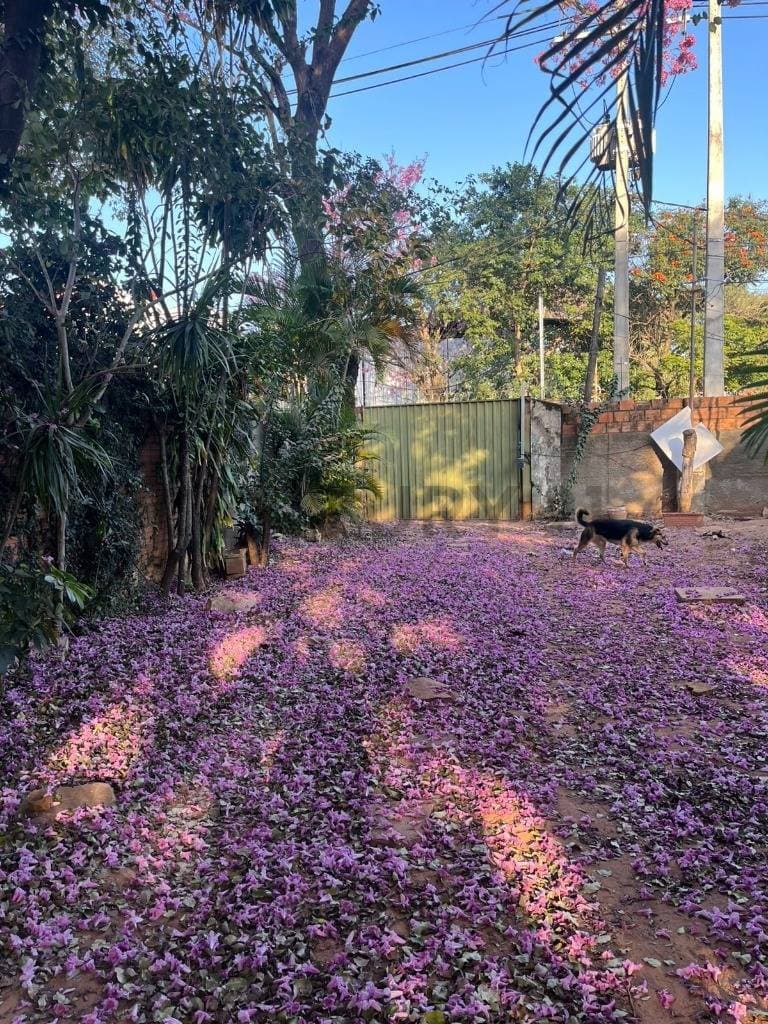 de Terreno en Trinidad, Asunción, foto 3