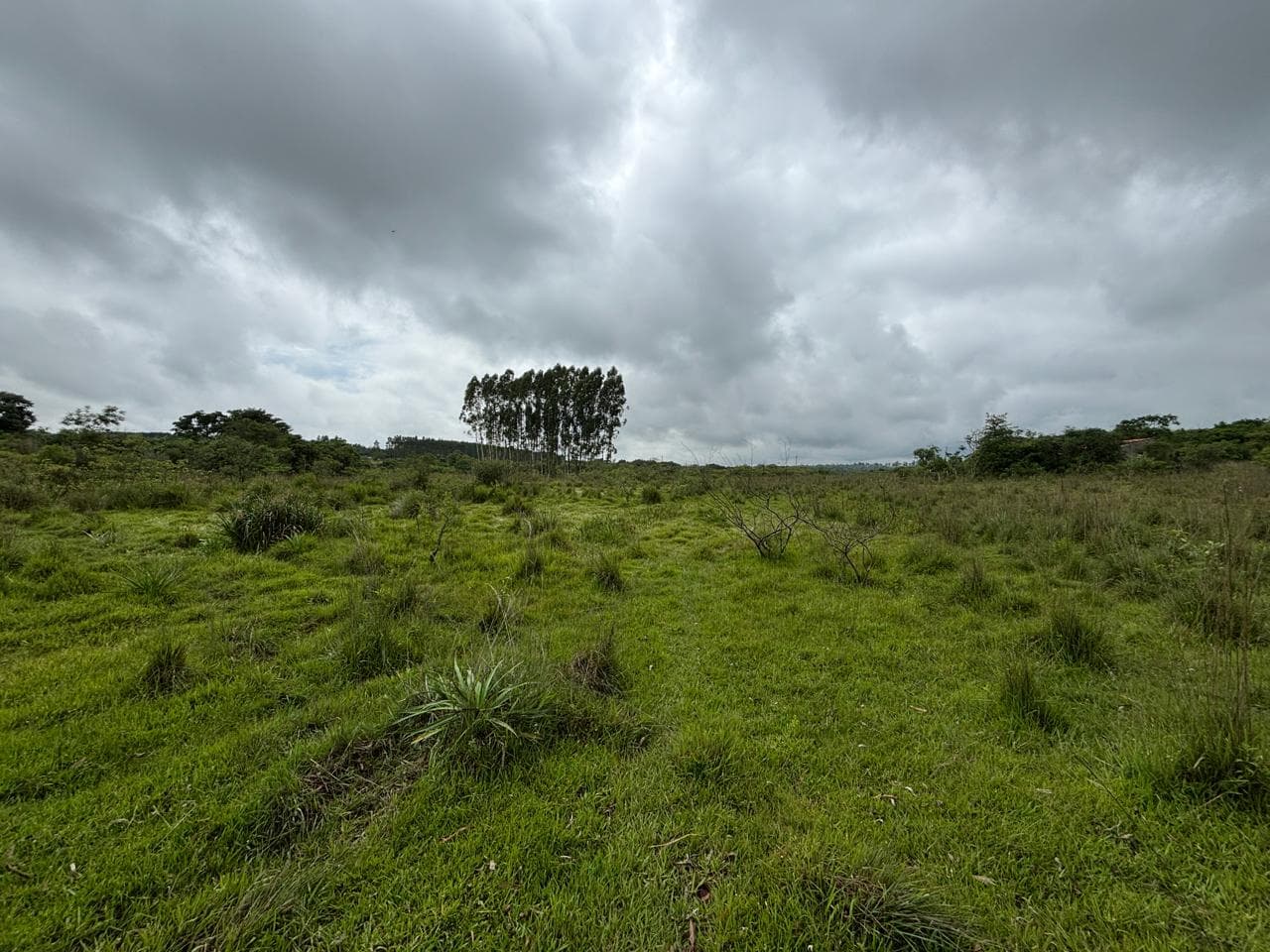 Terreno en itacurubi de la cordillera, foto 3