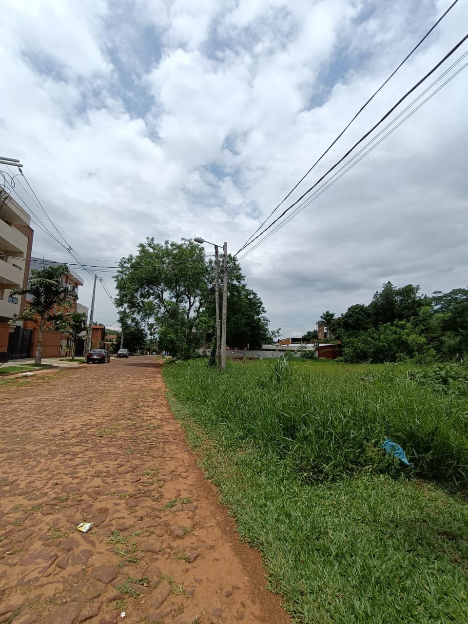3 Terrenos Juntos En Luque, Laurelty - Lla6630820, foto 3