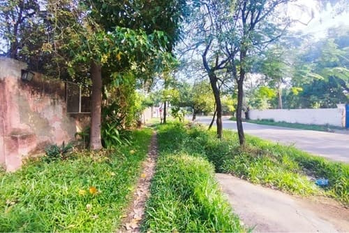 Terreno en Luque, foto 4