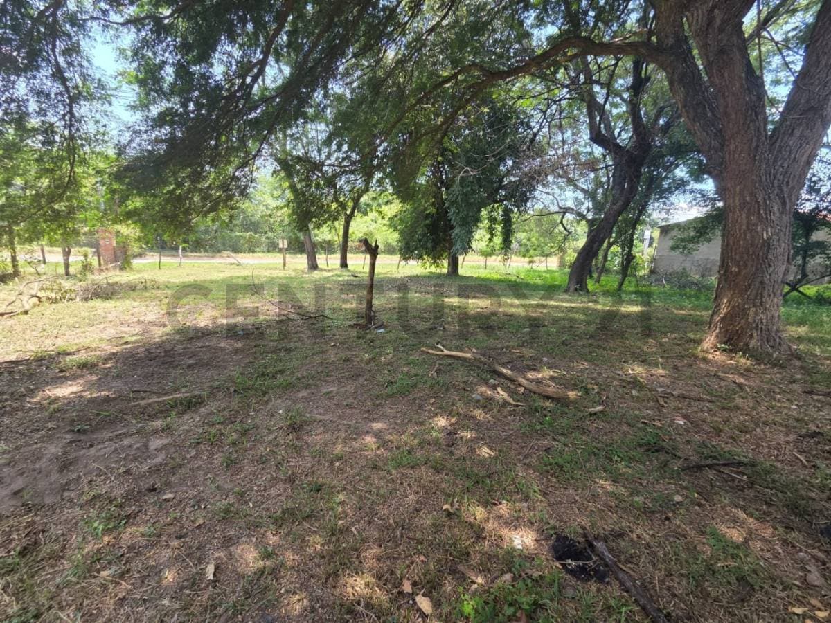 terreno zona Rakiura — foto 3