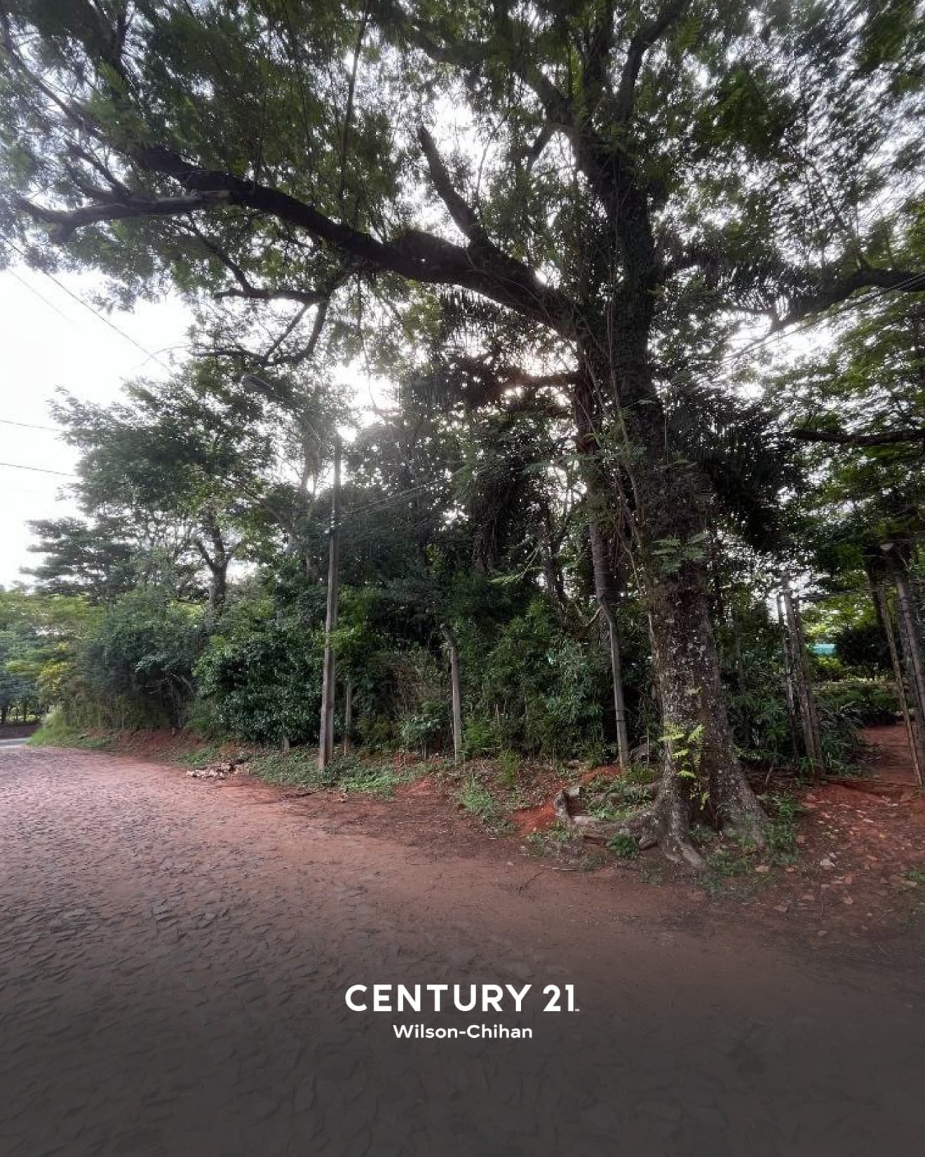 Terreno en el centro de Villa Elisa sobre avenida principal | venta, foto 4