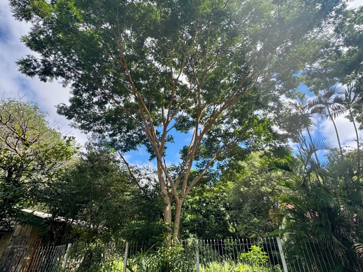 terreno de 1053 m2 en Mariano Roque Alonso! Excelente precio!, foto 4