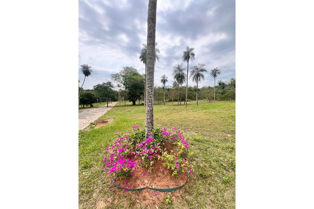 Terreno-Venta-Barrio Cerrado Paraíso De María, San Bernardino, foto 4