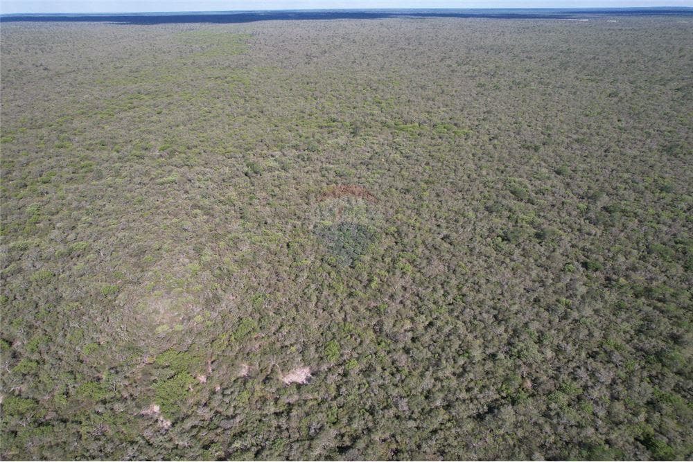 Estancia en fuerte olimpo - alto paraguay, foto 2