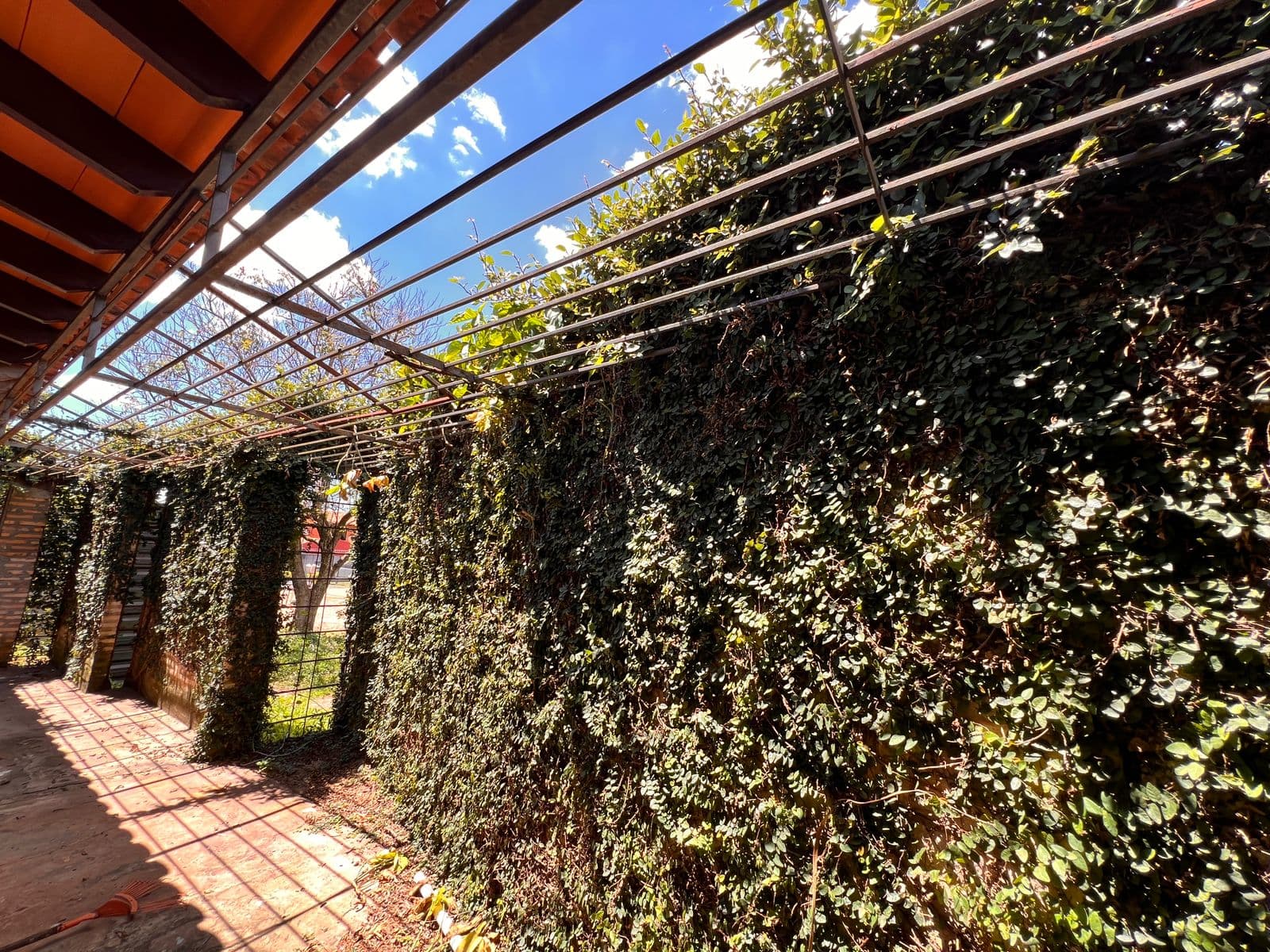 En venta Residencia ideal para Emprendimiento Gastronómico en fdo de la mora, foto 4