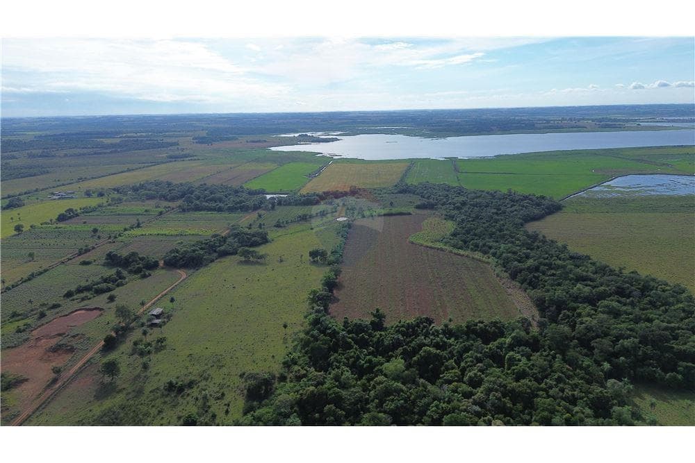 Espectacular Campo a la Venta de 34 Has – Coronel Bogado, foto 5