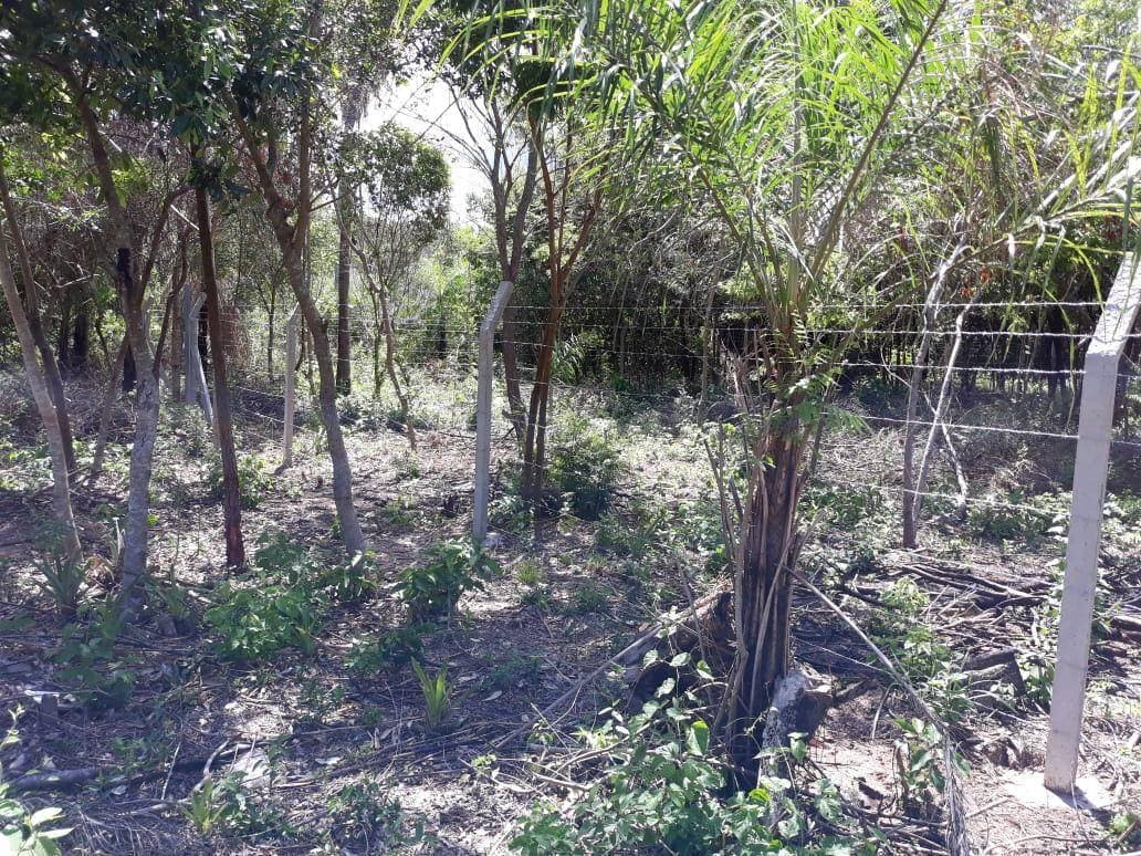Terreno en venta en Rincón de San Bernandino, foto 1