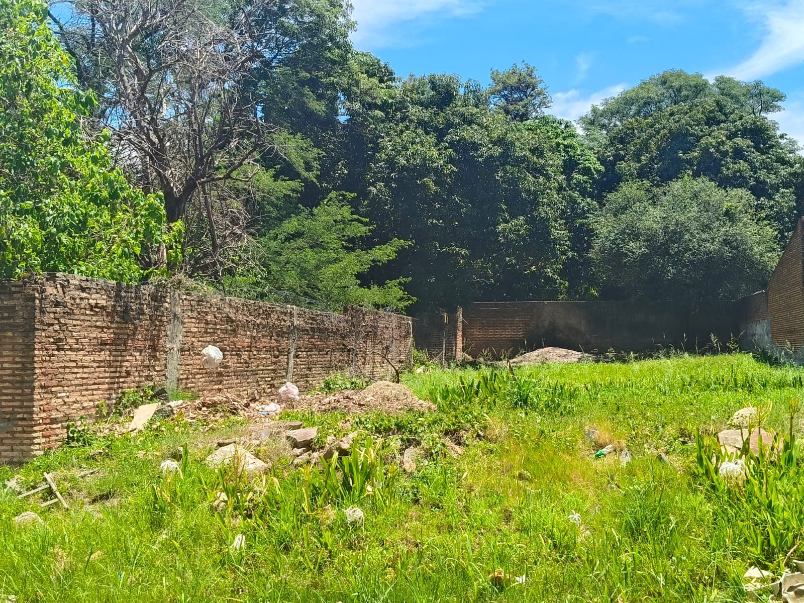 Ventade terreno en Ita Enramada a mts de Perón — foto 5