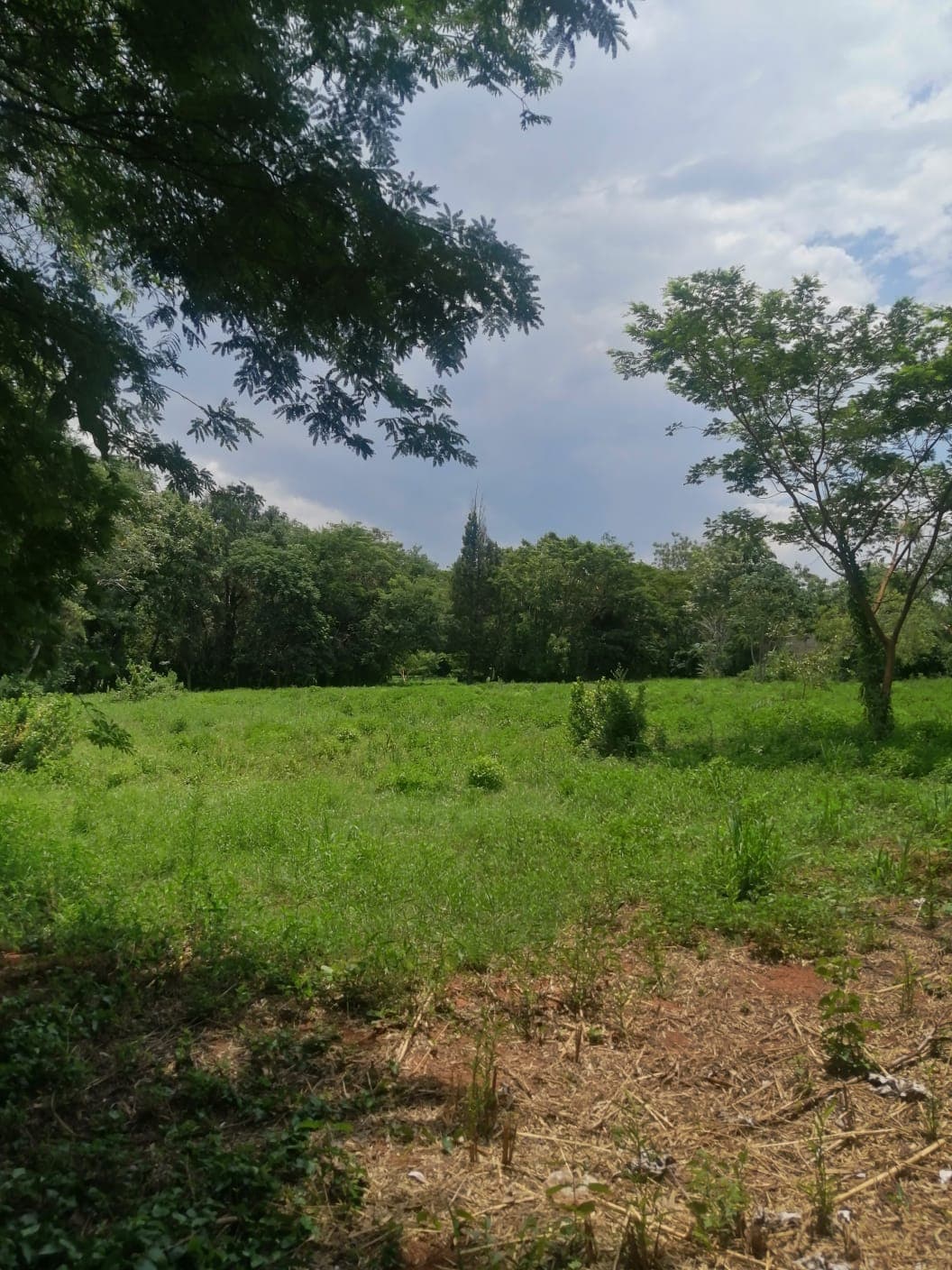 Gran Terreno Oportunidad de Inversión en Maramburé, foto 1