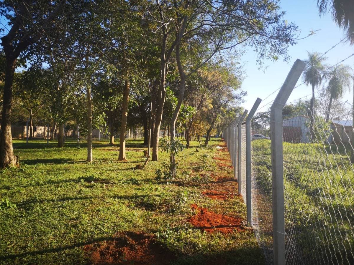 Terreno 1555 M2 En Luque, Bo. Mora Cue, foto 4