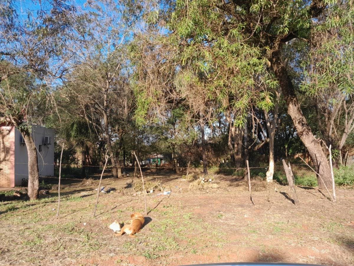 En venta terreno a metros de ruta Luque-Sanber, Cañada Garay, Luque, foto 2