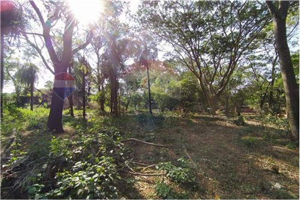Amplio terreno en venta en barcequillo San Lorenzo, foto 3