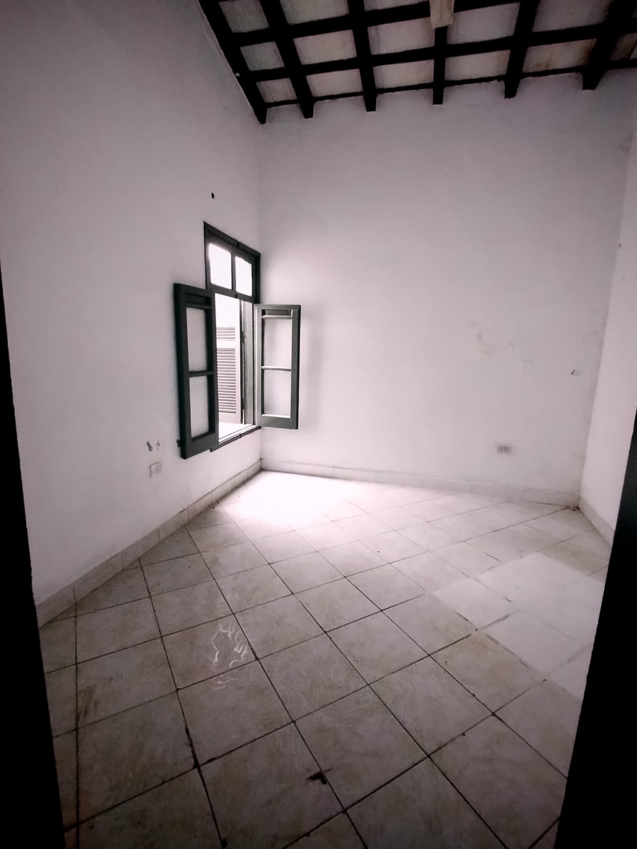 ???? Alquilo Salón Comercial/Oficina – Av. Carlos Antonio López — foto 4