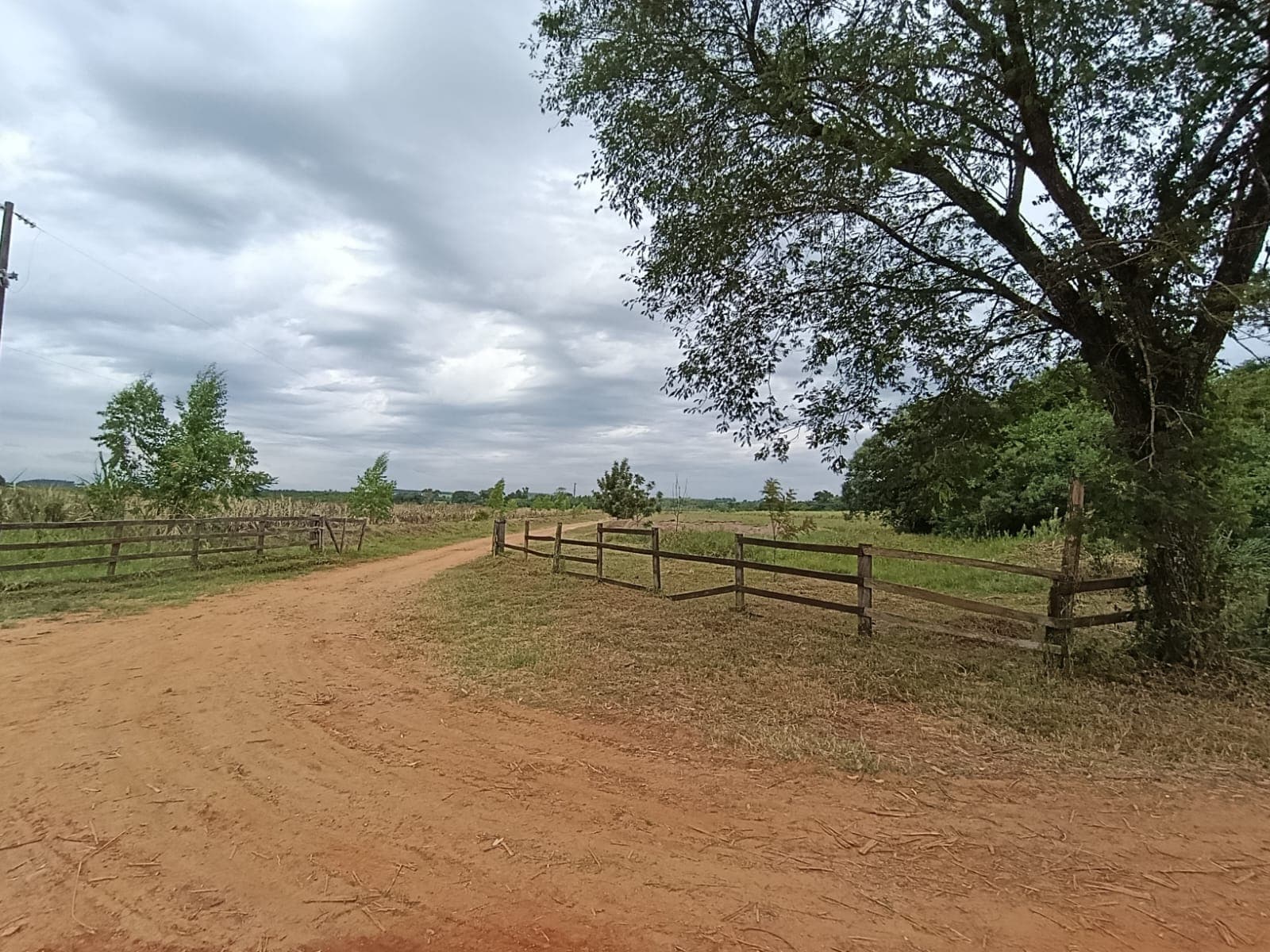 En Venta – 5 Hectáreas En Caaguazú — foto 2