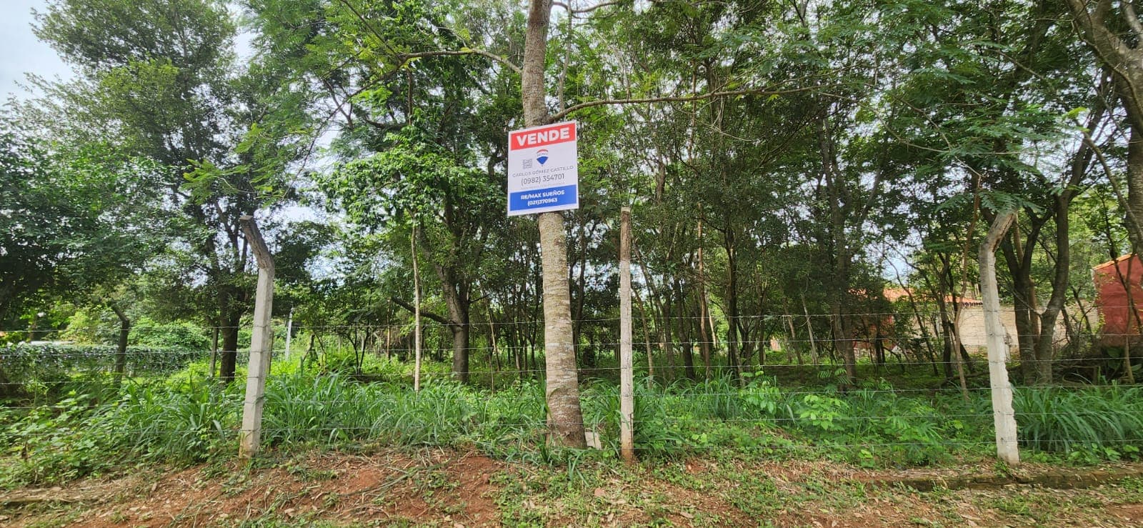 Terreno en caacupemi - aregua, foto 5