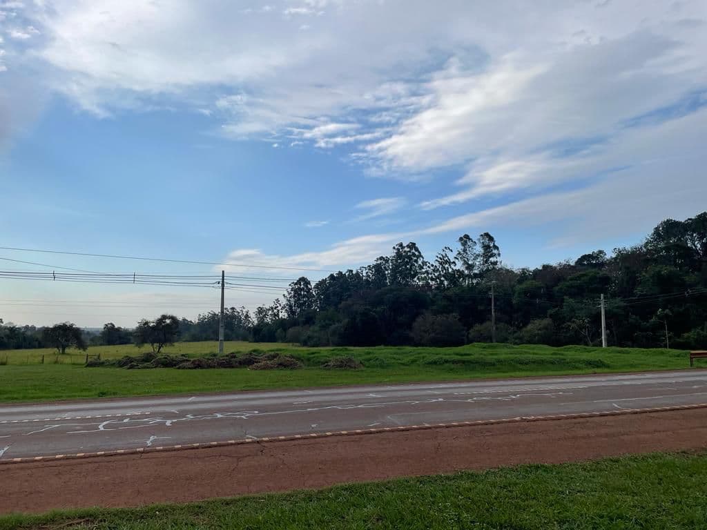 19,4 hectáreas en Minga Guazu a 200 metros sobre ruta 2, foto 2