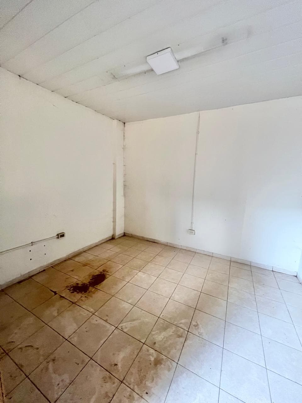 En Alquiler Depósito de 600 m2 en Mariano Roque Alonso A322, foto 4