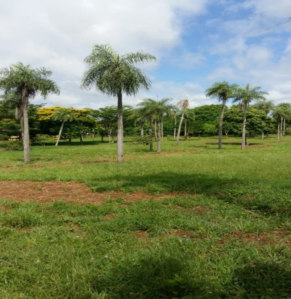 ¡Oportunidad Única! OFERTA Terreno Estratégico en Luque - Limpio, a Solo 500 Metros de Ruta San José 1 — foto 2