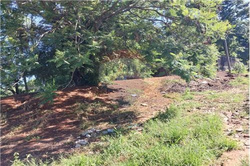 Terreno Venta PY Central Villa Elisa, foto 2