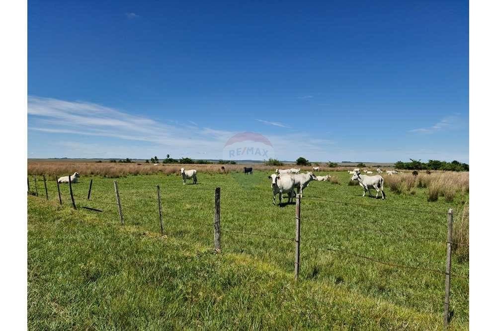 Campo formado sobre ruta en quiindy - ybycui, foto 4