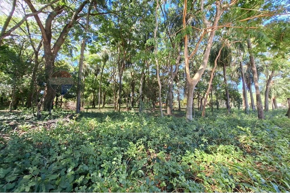 Terreno en San Bernardino, ¡Inversión Ideal!