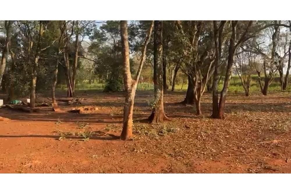 Terreno hectareas agricolas en minga guazu km 16, foto 2