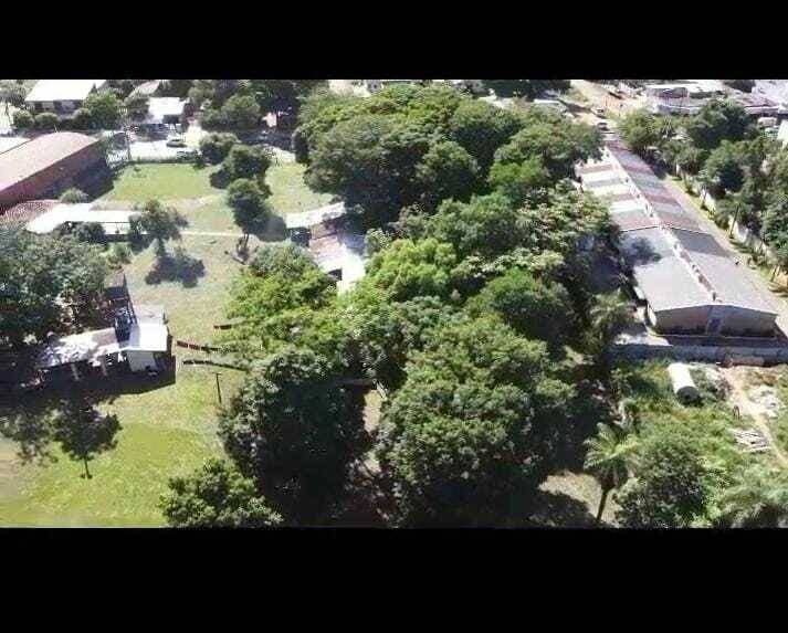 Cuatro terrenos en Ñemby, sobre avenida, foto 3