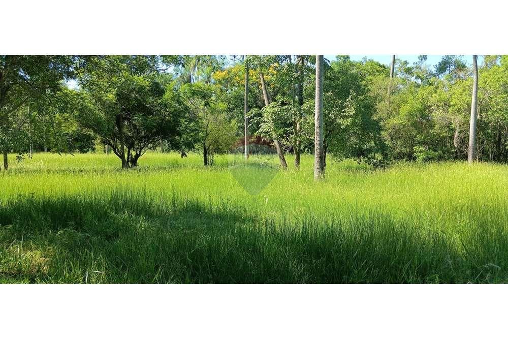 Terreno en atyrá, san vicente, foto 2