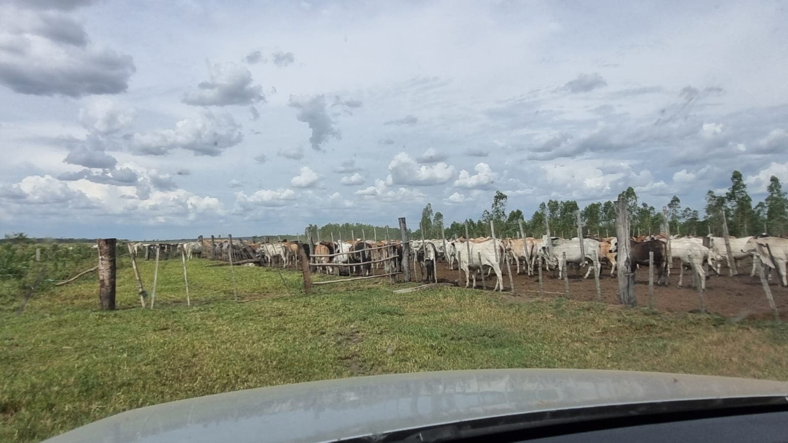 Campo de 747 Hectáreas en Santa Rosa del Aguaray - CLCS7320234, foto 5