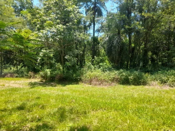 Vendo amplio terreno en el peñón limpio