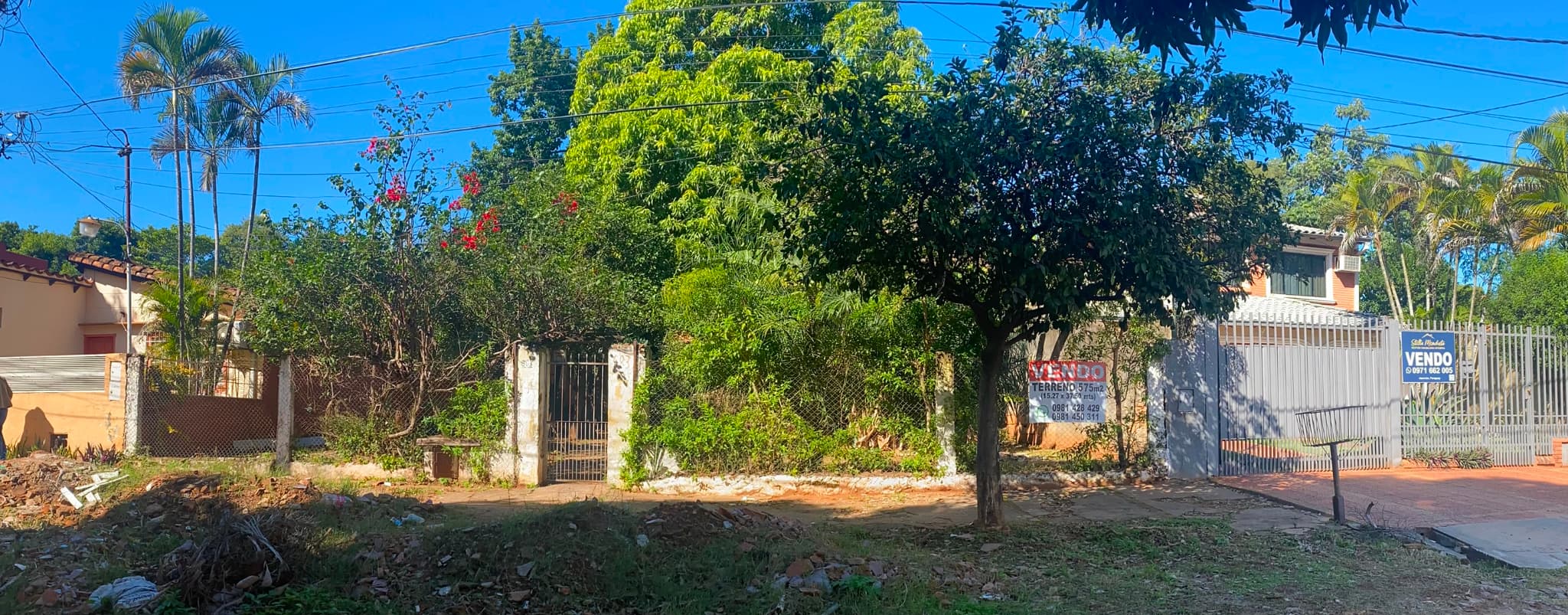 Asunción: amplio terreno arbolado de 15,27 m. X 37,50m — foto 2