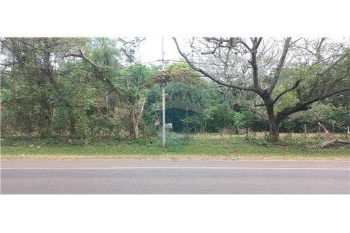 Terreno en oferta sobre ruta 1 paraguari 2,1 has, foto 5