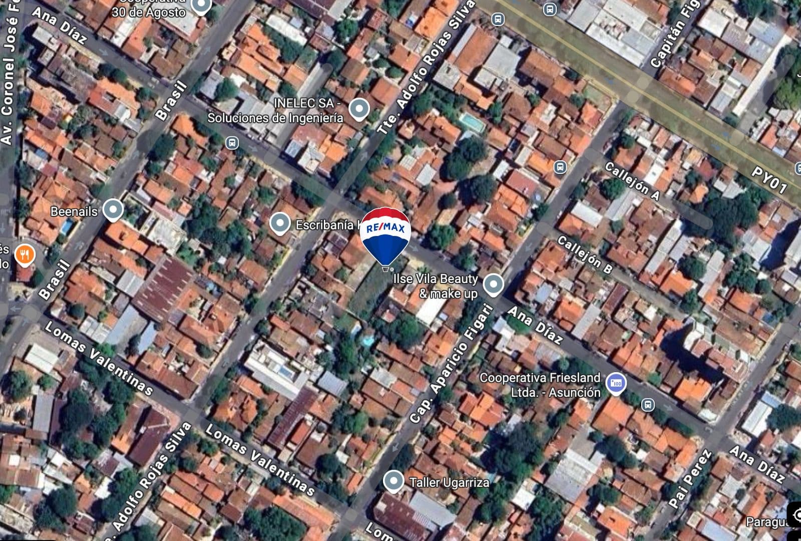 Terreno-pettirossi — foto 5