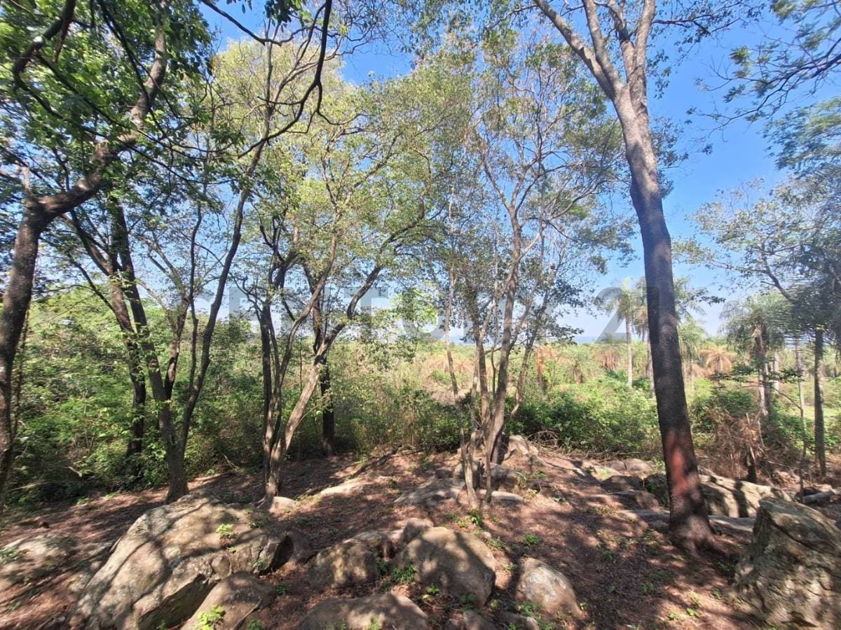 Vendo 6.85 Ha En San Bernardino Con Vista Plena Al Lago