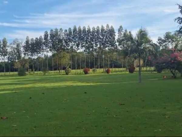 En venta 14 hectareas en hernandarias, foto 1