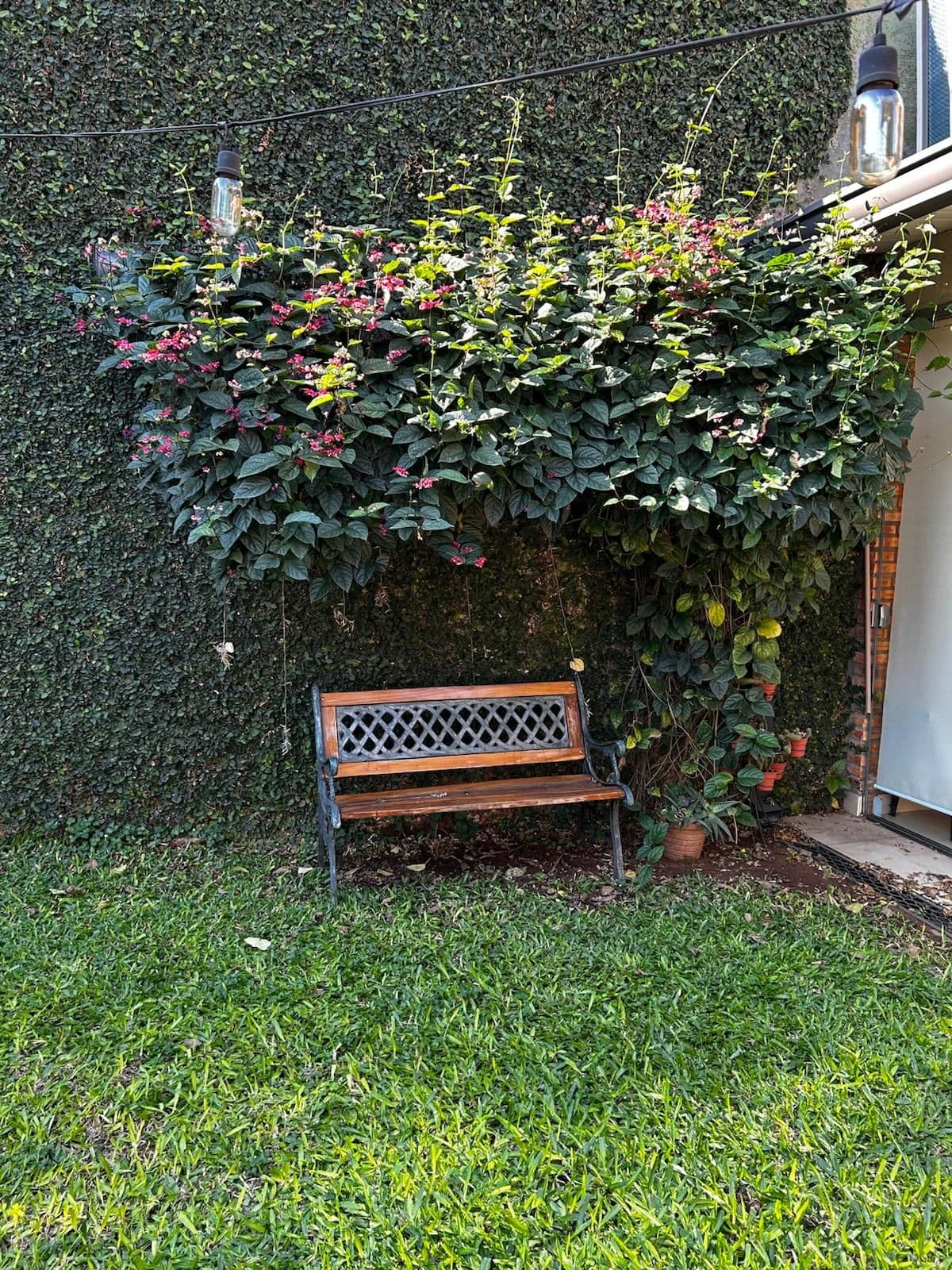 De Casa Amplia Con Piscina En Sajonia, foto 3