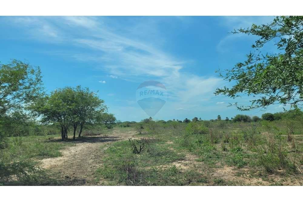 Estancia formada de 970 ha, foto 3