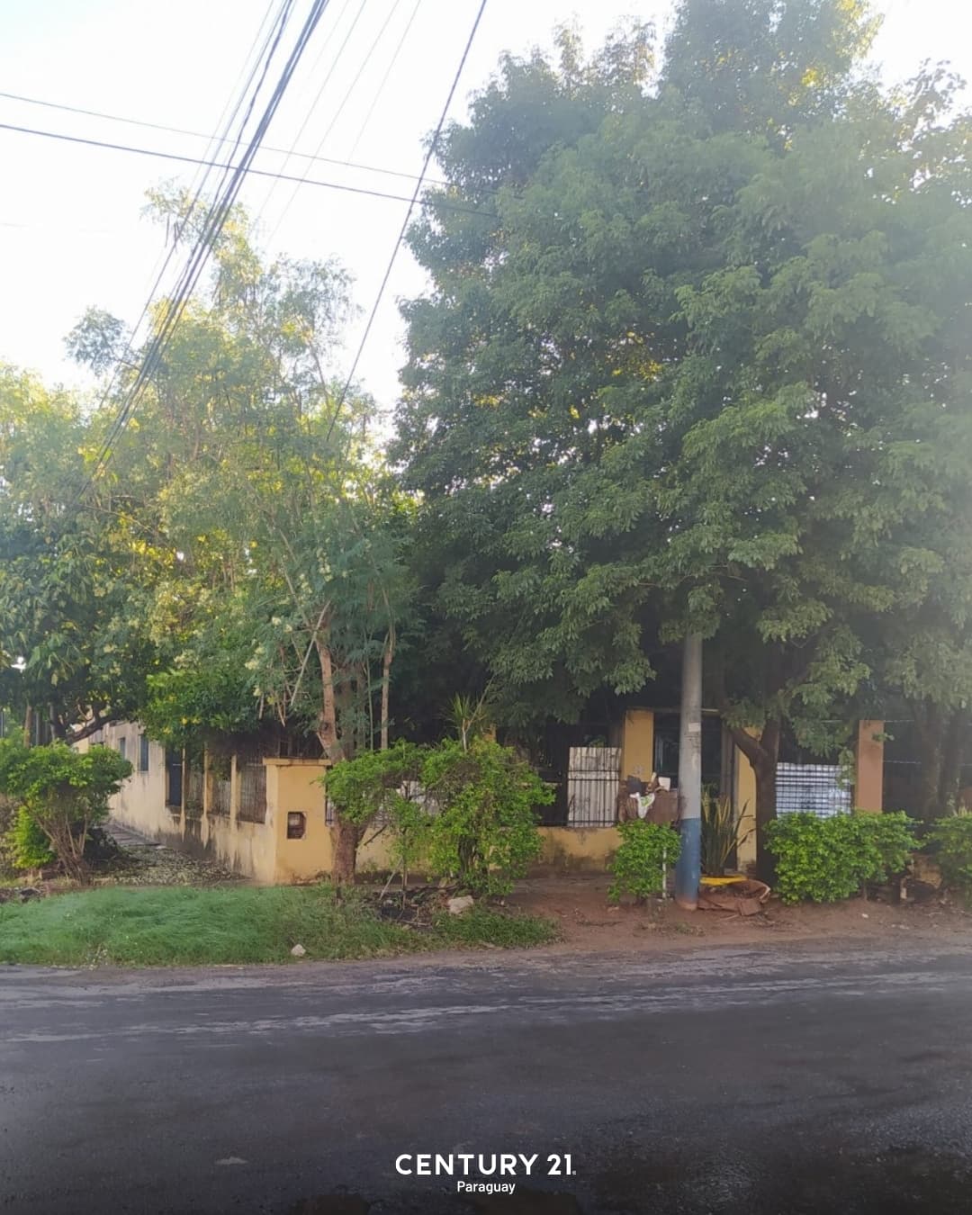Terreno en esquina, zona cit‼️campo grande, Luque, foto 4