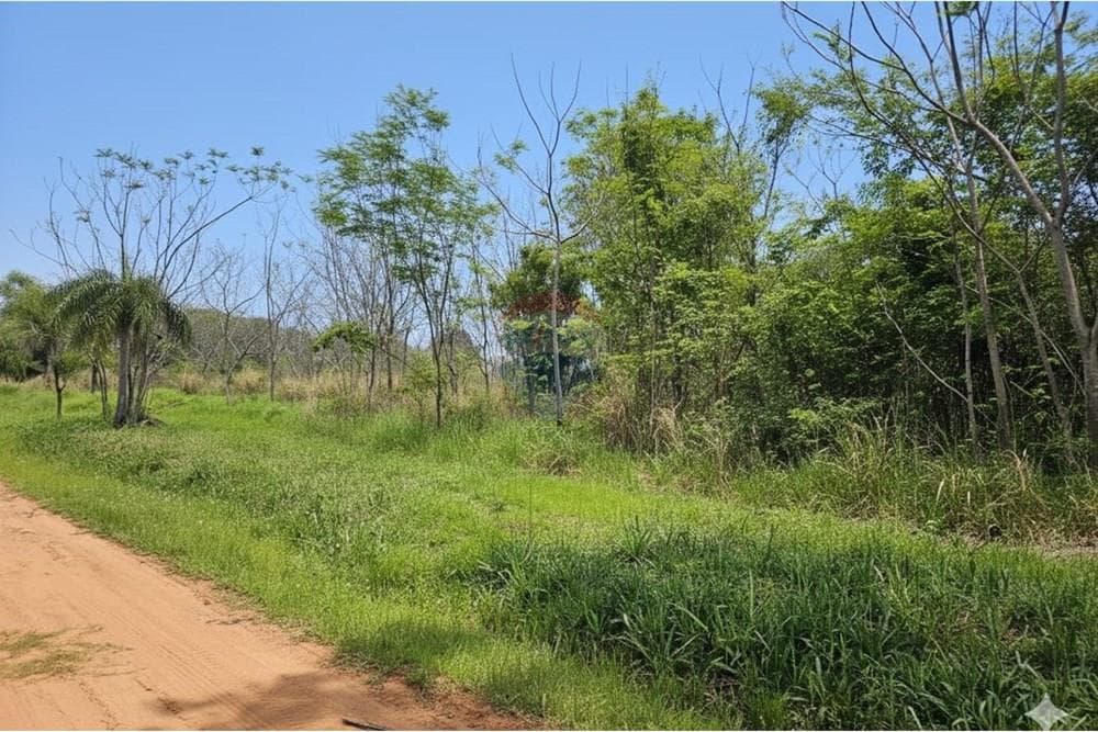 Terreno en Venta – Club Centenario Surubi’í, foto 4