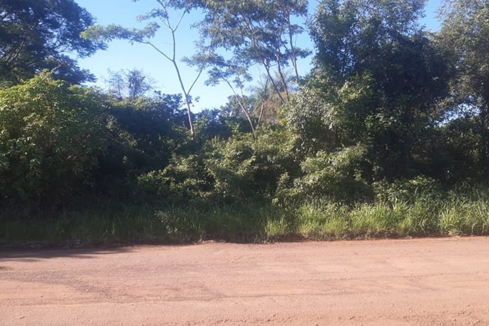 Terreno-Venta-San Estanislao, San Estanislao, San Pedro, foto 4
