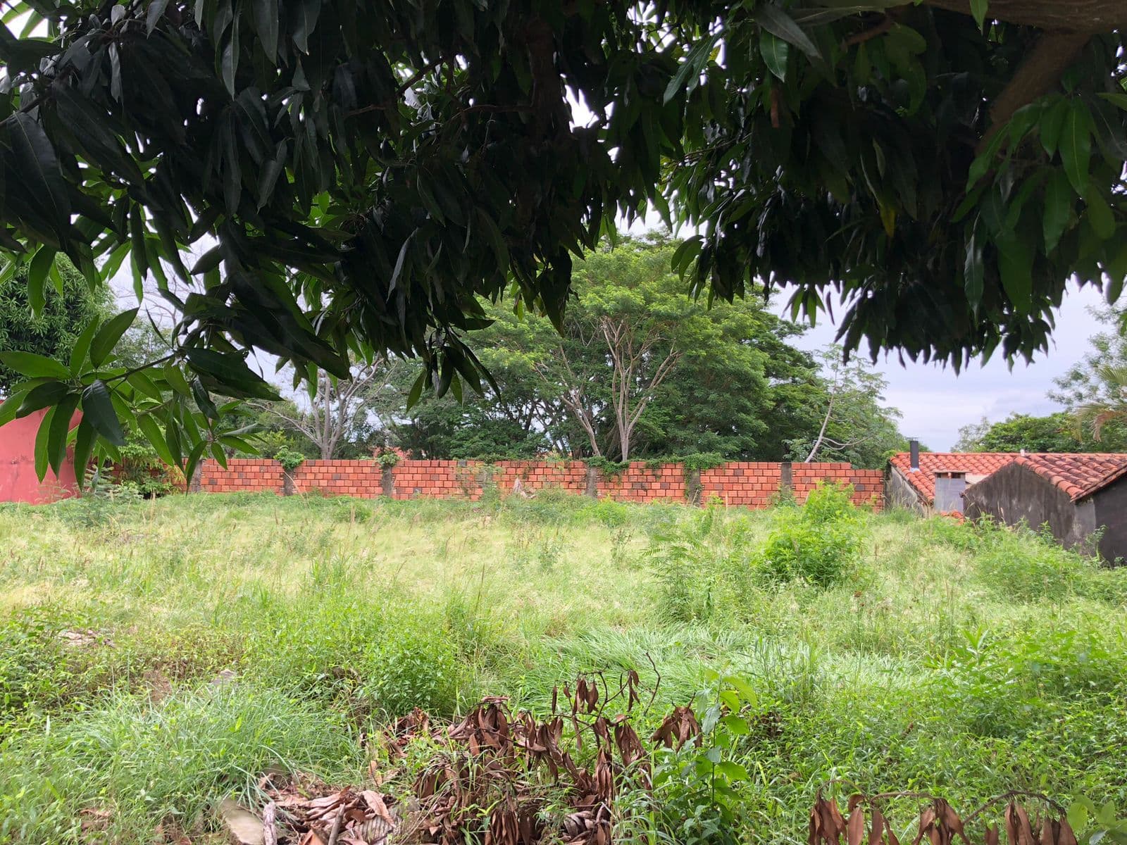 Vendo!!! 2 terrenos juntos en Lambaré — foto 2
