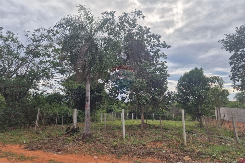 Terreno en Luque, foto 3