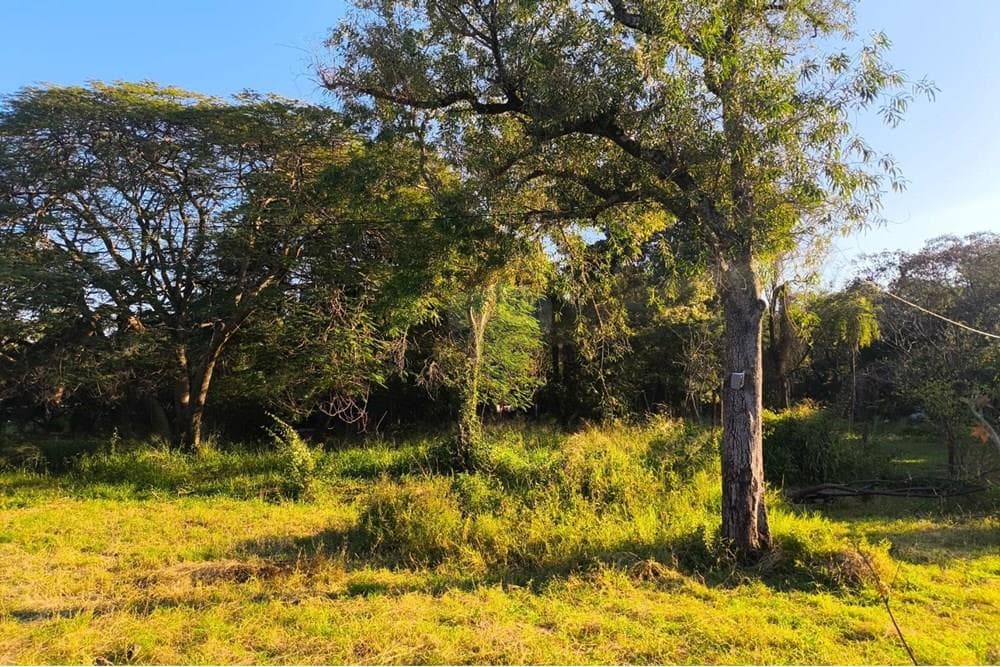 Terreno En Limpio Juan De Salazar, foto 3