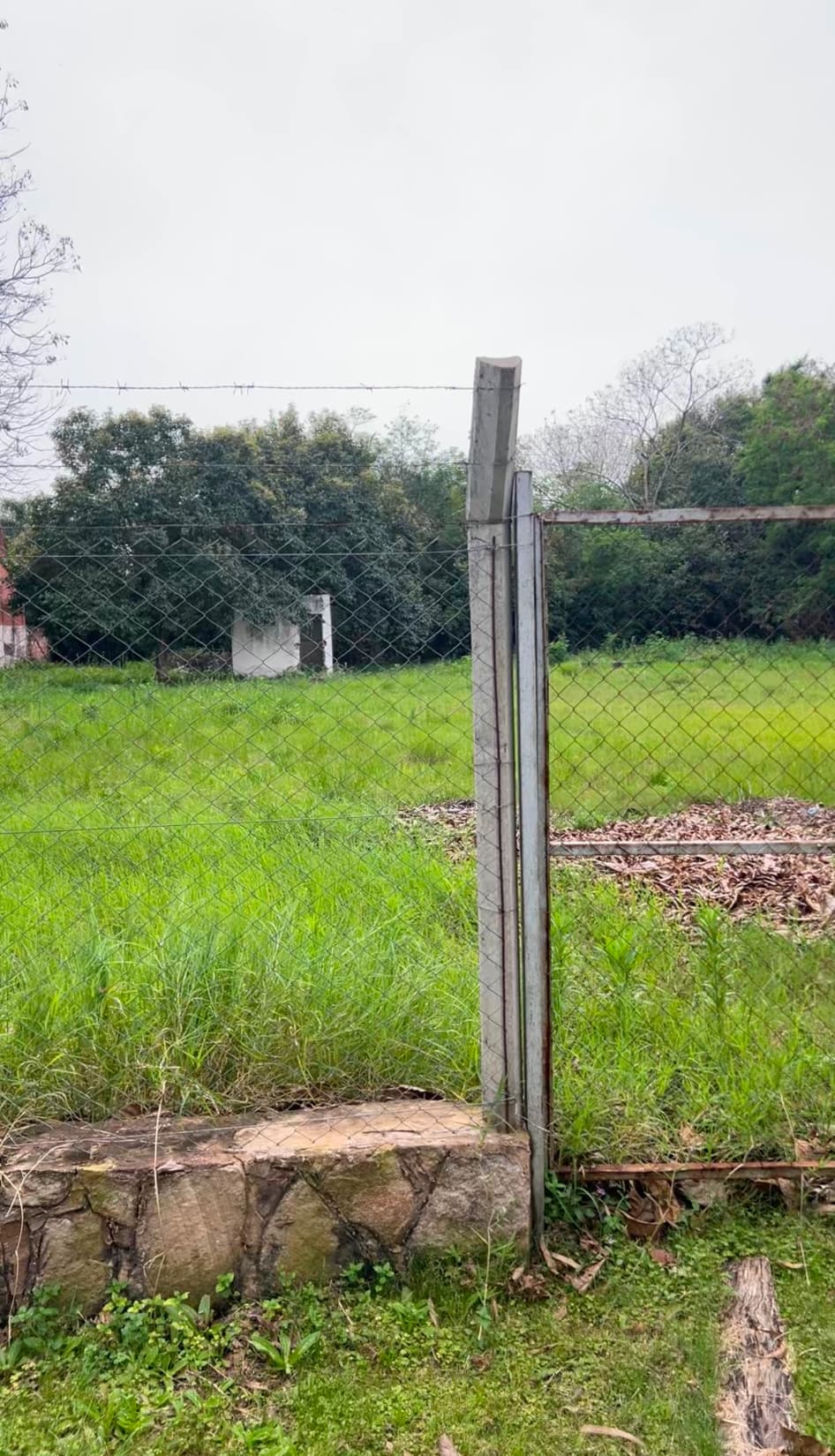 Amplío terreno sobre avenida principal en San Bernardino, foto 1