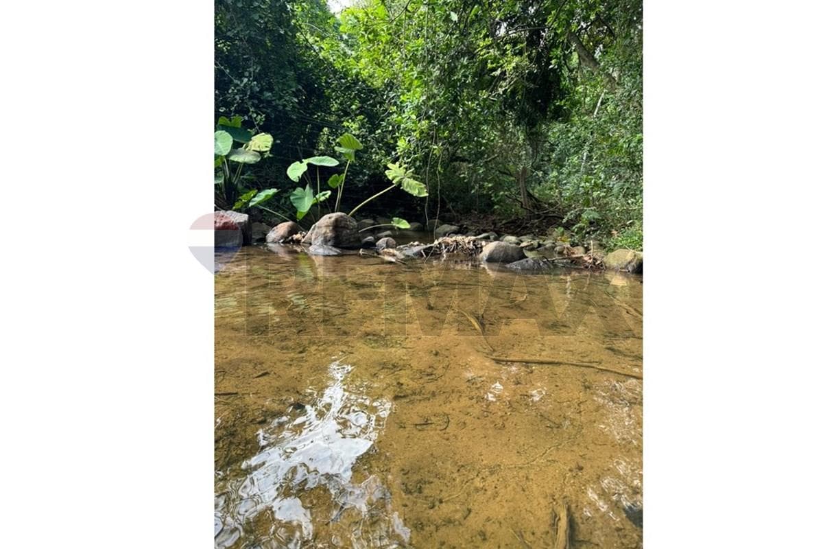 Estancia/Campo - Venta - Ybycuí, Paraguarí, Paraguay, foto 4