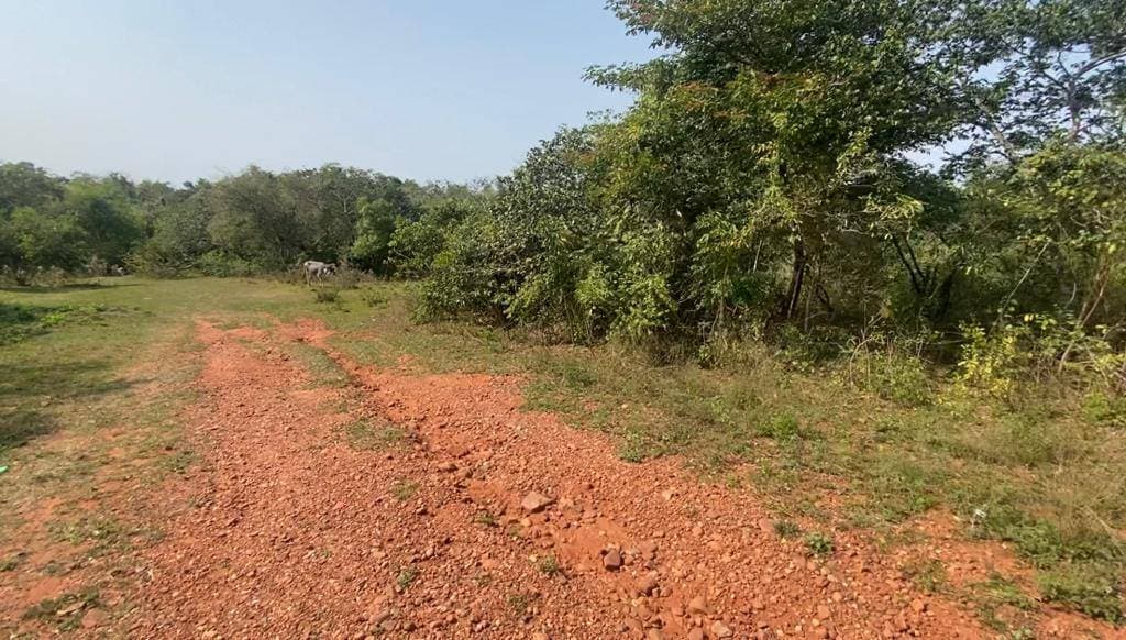 Terreno de 360 m2 en Luque zona jukyry, foto 3