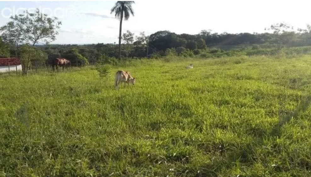 Terreno en ybucui, foto 5