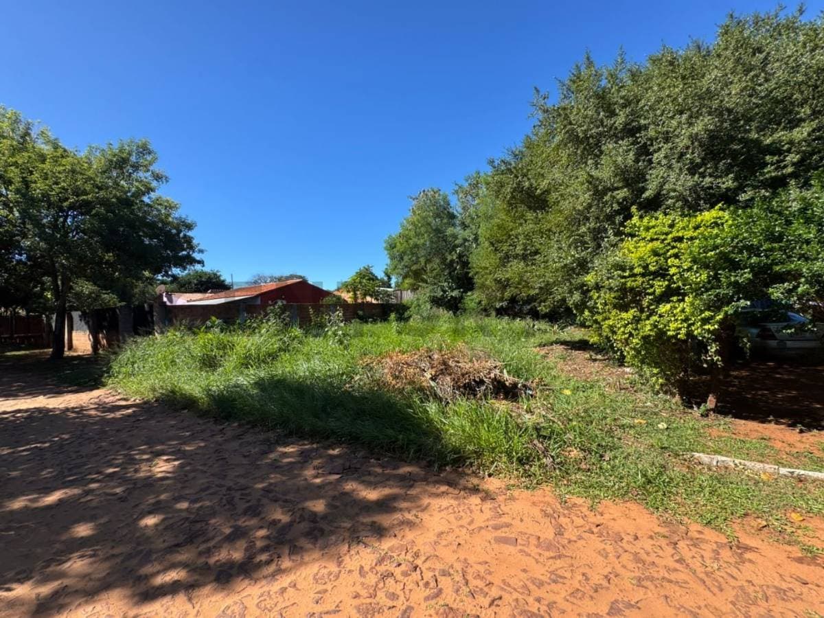 Terreno en Luque, foto 5